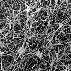 Mountain Equipment Schlafsäcke Lunar I Women's